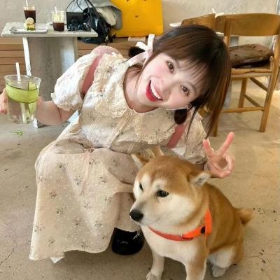 布朗蒂姊妹